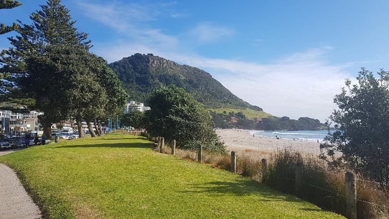 Wander the old mining trails and tunnels of Karangahake Gorge. Hike to the Summit of Mount Maunganui, for amazing views. Follow up with a refreshing swim at the beach or relaxing soak in the hot pools.